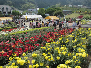 ばらの丘公園