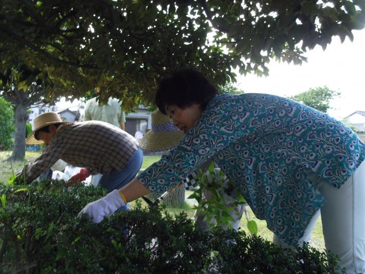 軍手をはめ、公園の植物の手入れをしている市長と女性