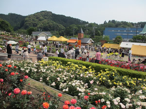 島田市ばらの丘公園の画像1