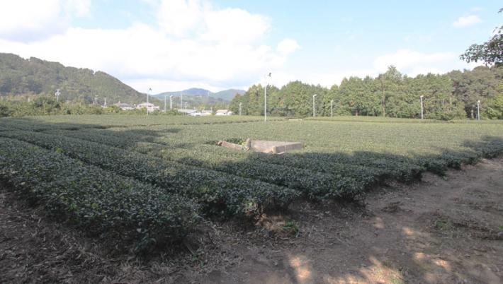 横岡(志戸呂)城跡