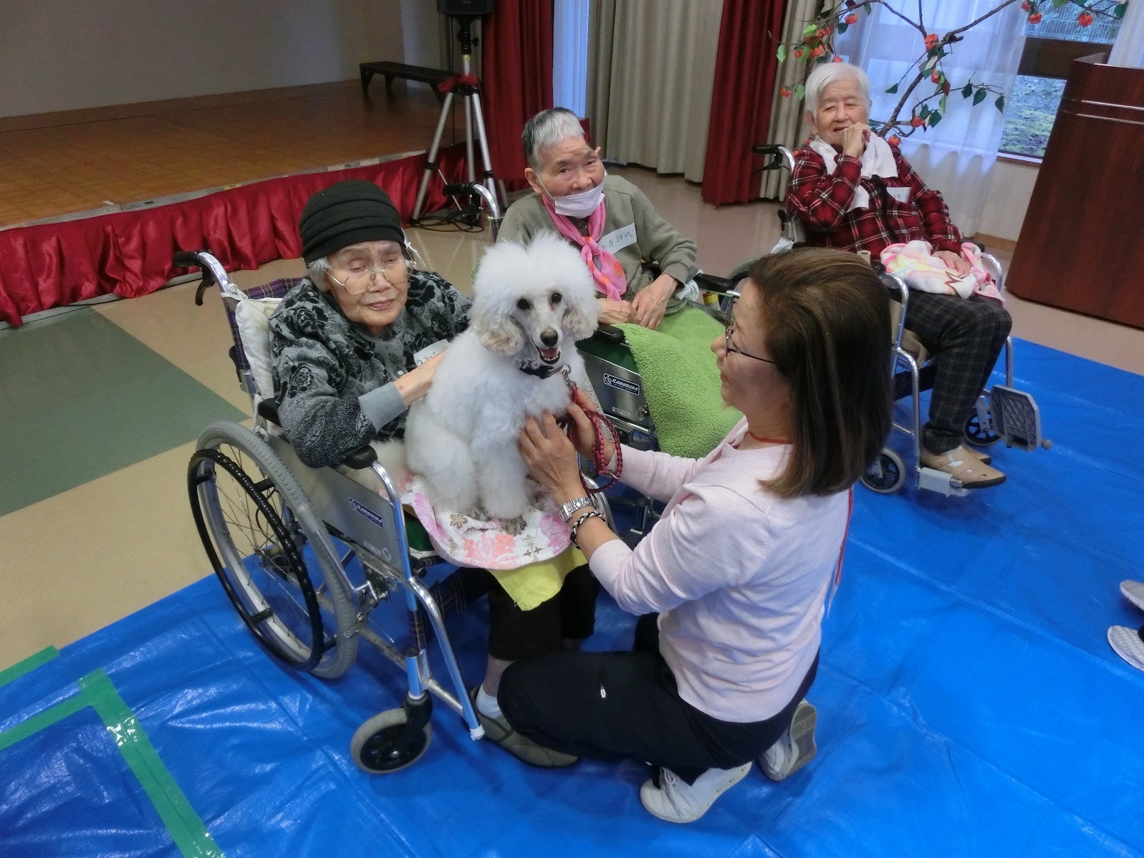 動物ふれあい訪問活動