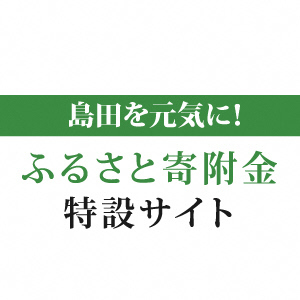 ふるさと寄附金特設サイト