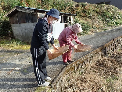 みで選別