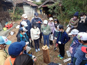 スウェーデントーチ