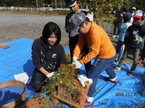 蕎麦刈り2