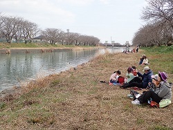 お弁当を食べながら観察