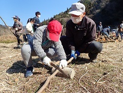 木を切りそろえる