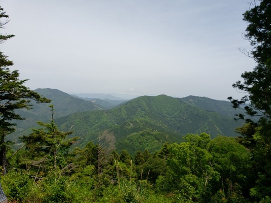 山頂からの景色