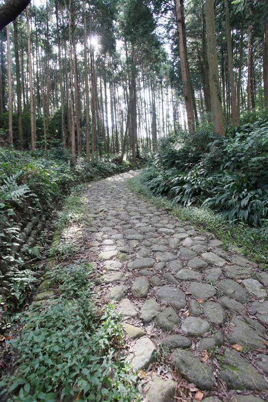 旧東海道と石畳（金谷坂）