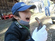 焼き芋づくり