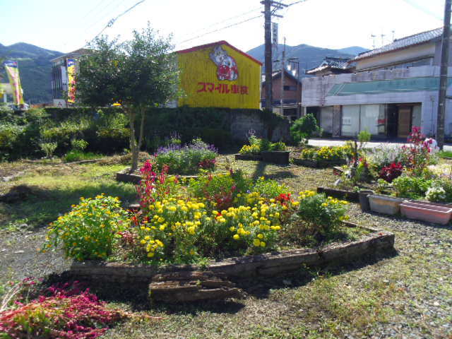 野の花の会