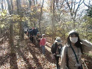 菩提山登り