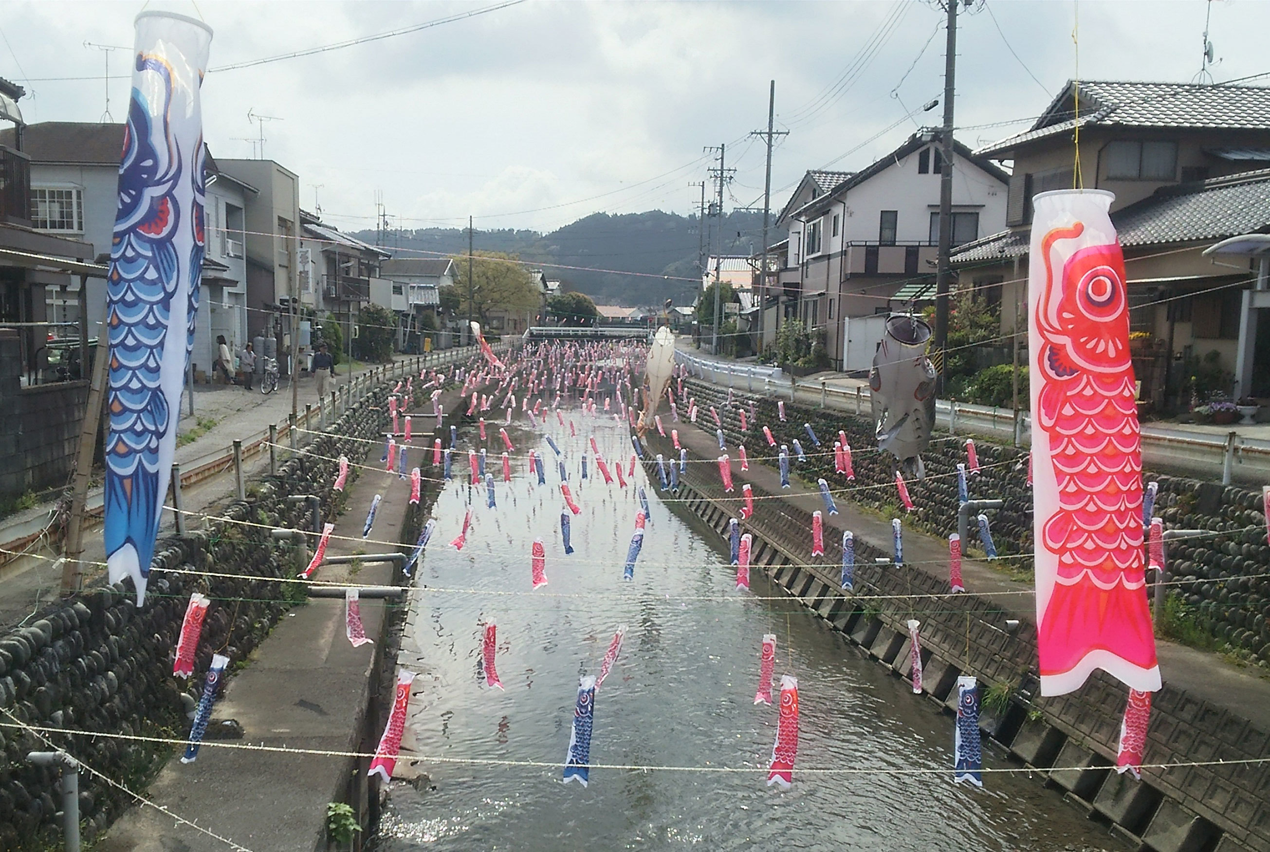 清水川ミニ鯉のぼり.jpg