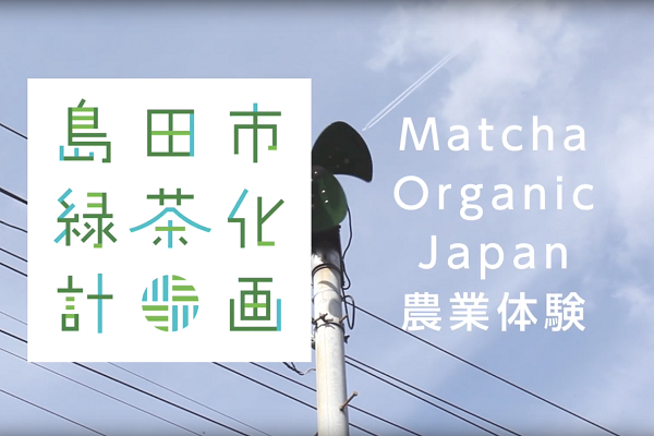 Matcha Organic Japan 農業体験