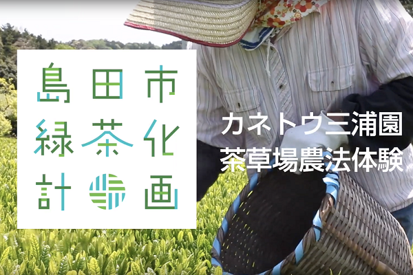 カネトウ三浦園 茶草場農法体験