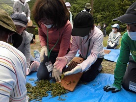 釜炒り茶づくり