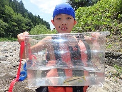 捕まえた魚