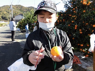 みかん狩り