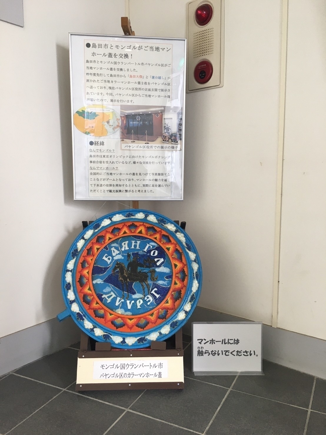 展示の様子