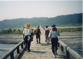 蓬莱橋を渡って牧之原に向かう農家の人たち