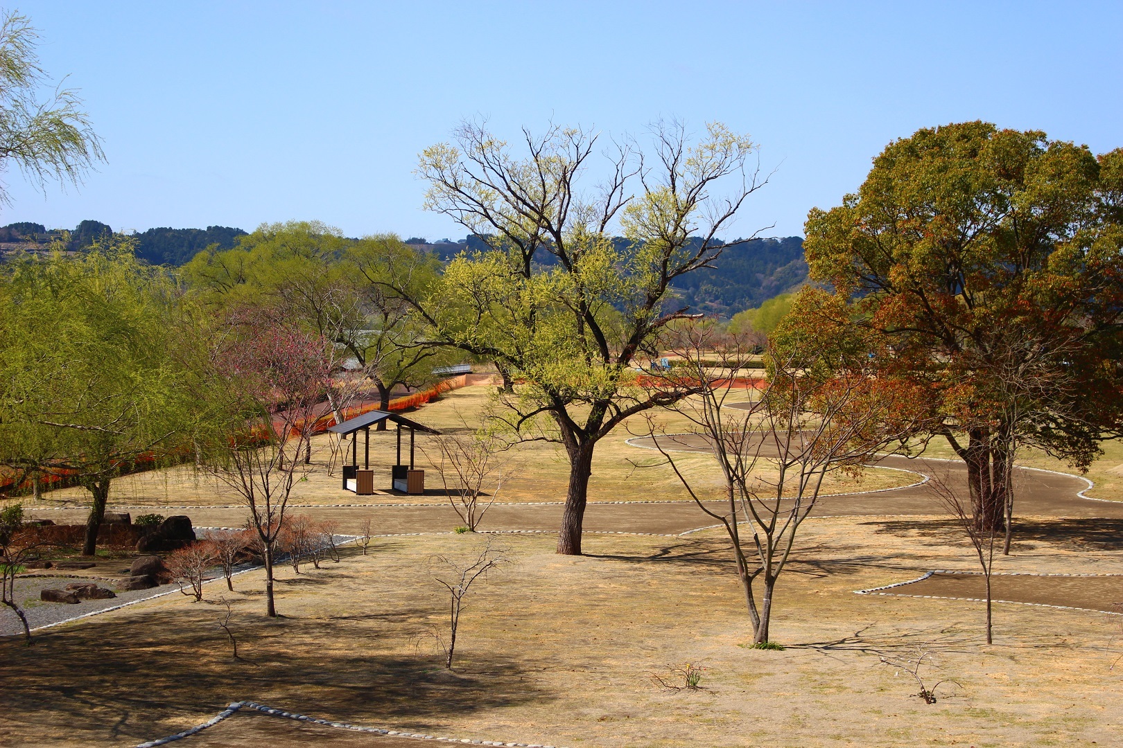 小山エリア