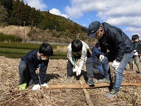 木を切る2