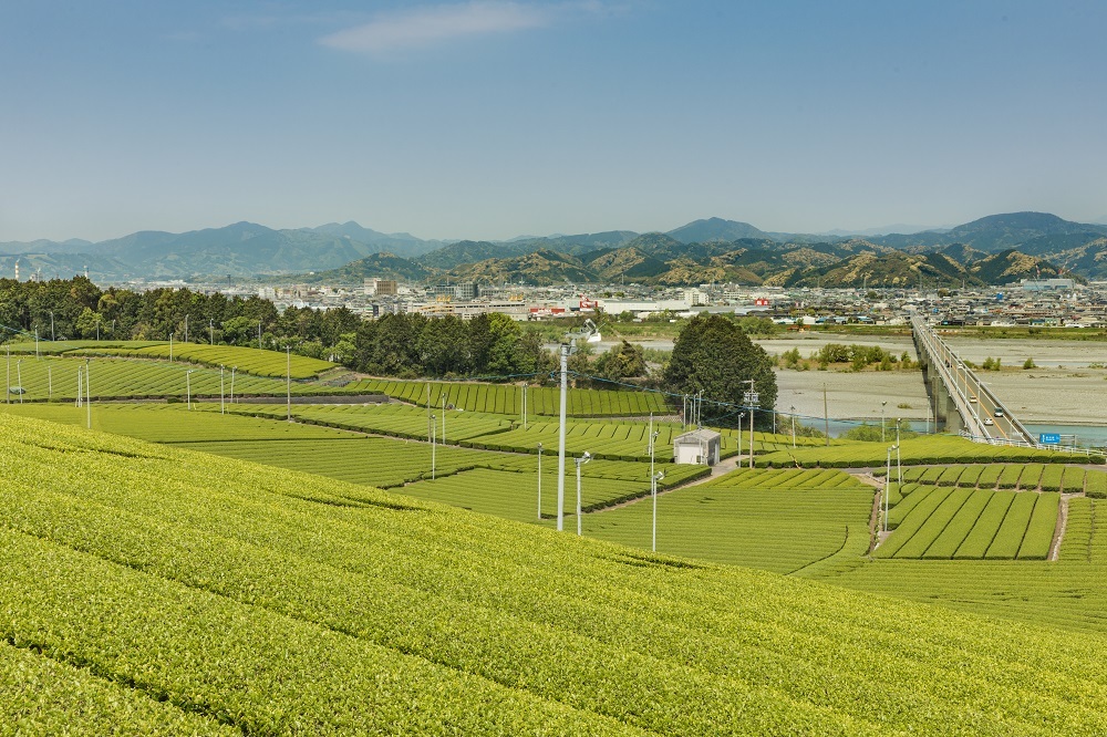 島田の風景