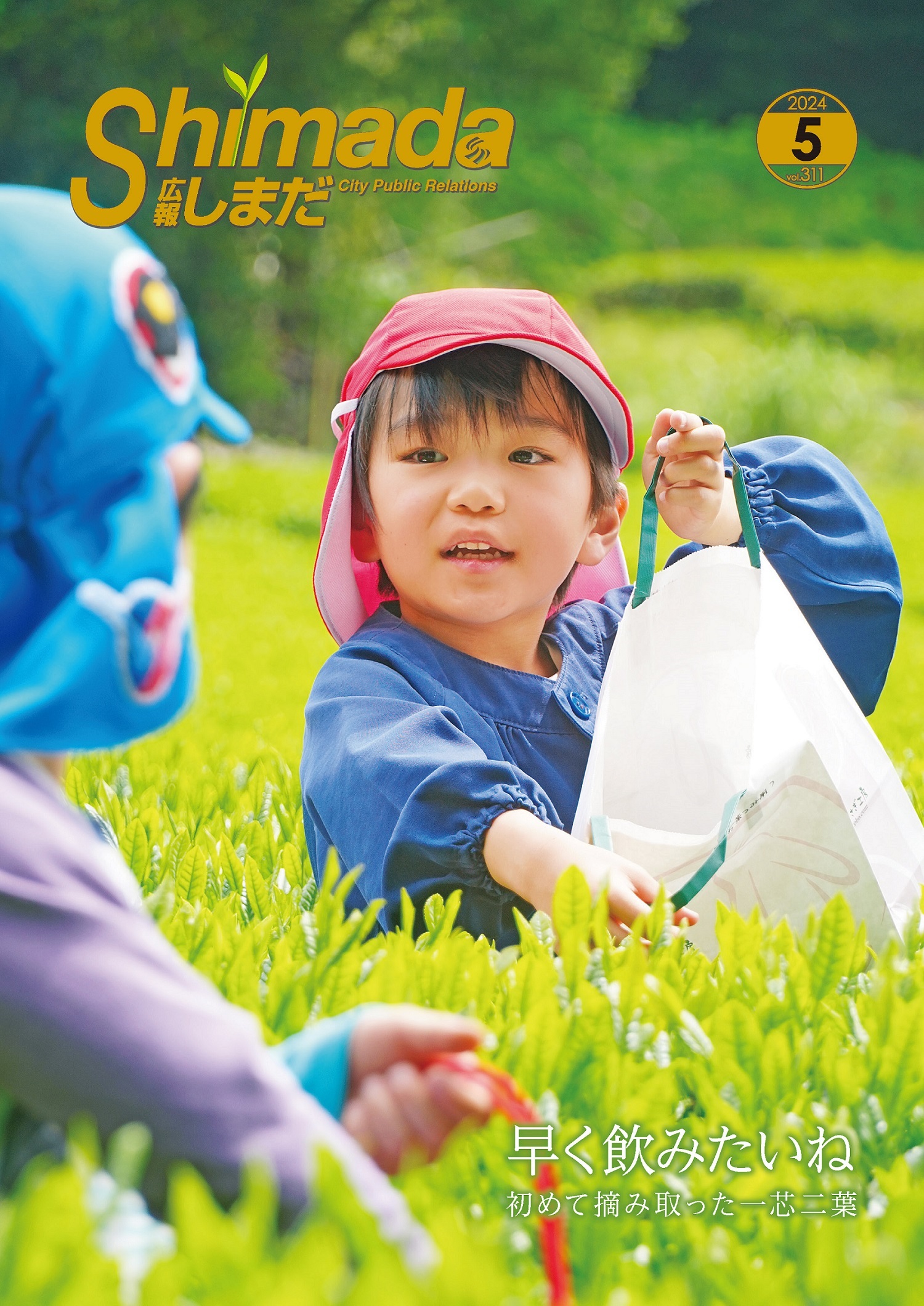 p1.jpg