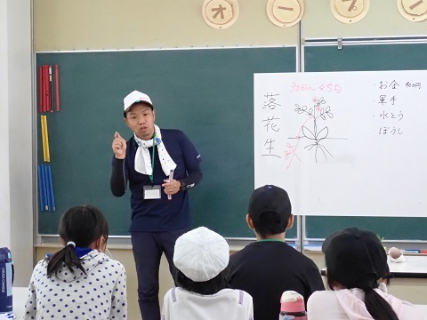 落花生の説明