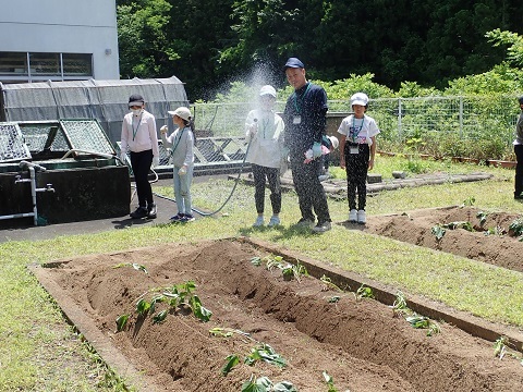 水やり