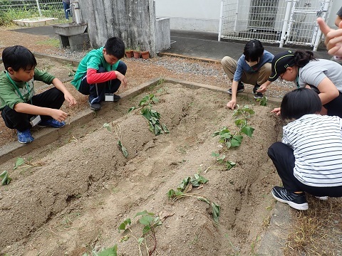 みんなで草取り