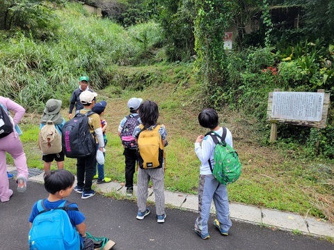 上相賀の大カヤ見学