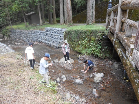 沢遊び