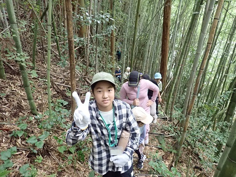 竹藪の中を歩く