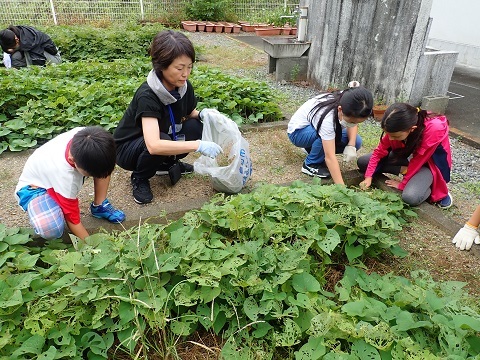 草取りその２