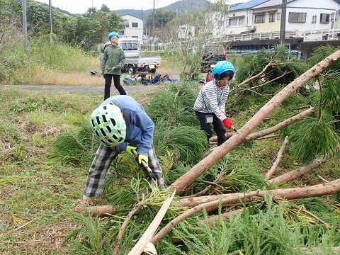 みんなで枝払い