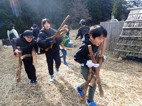 木を運ぶ