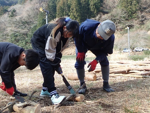 木を切る