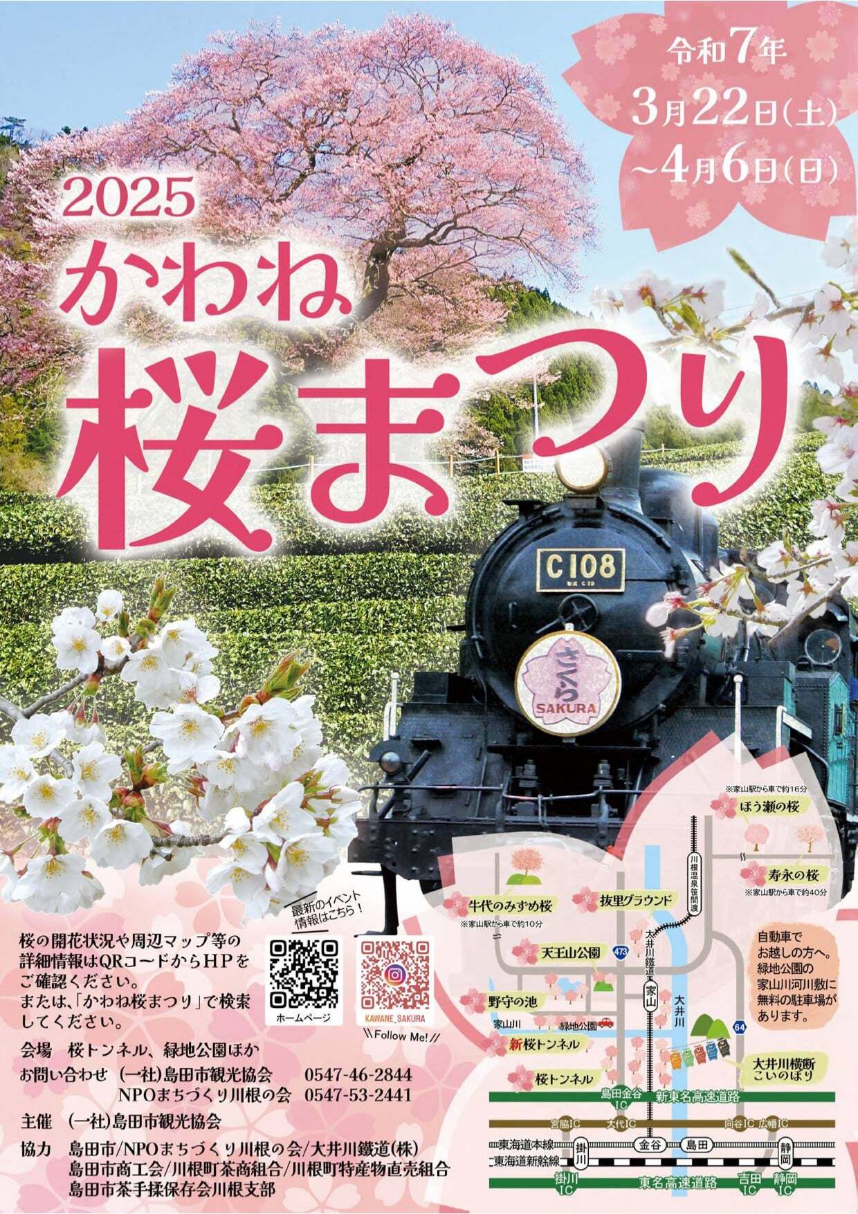 sakuramatsuriomote.jpg