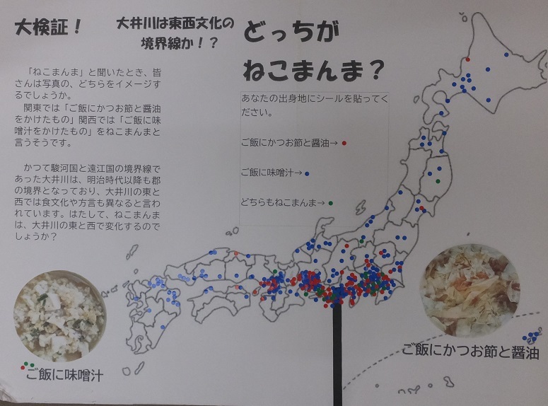 どっちがねこまんま？全国