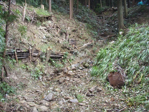 荒れた山の状態