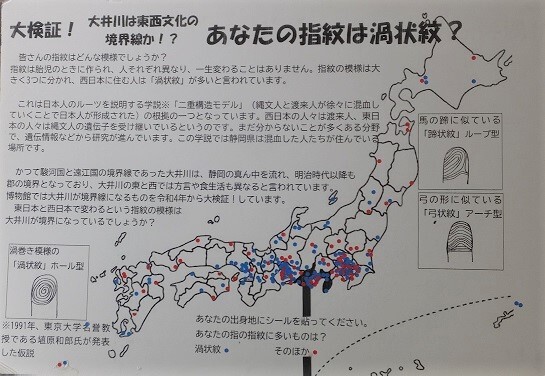 指紋全国