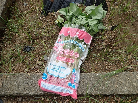 サツマイモのつる