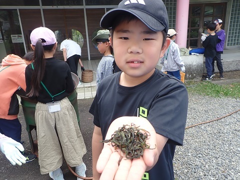 釜炒り４