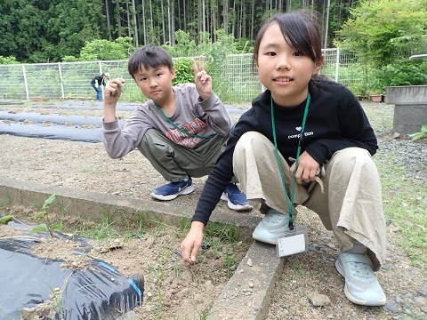 草取り２