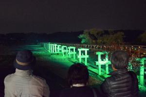 緑茶化ライトアップ蓬莱橋