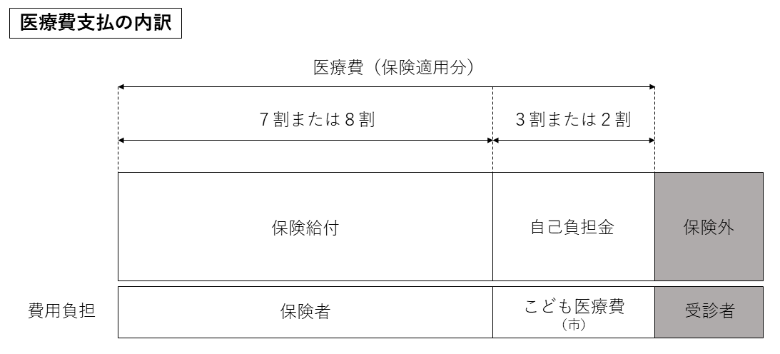 iryouhiutiwake.png