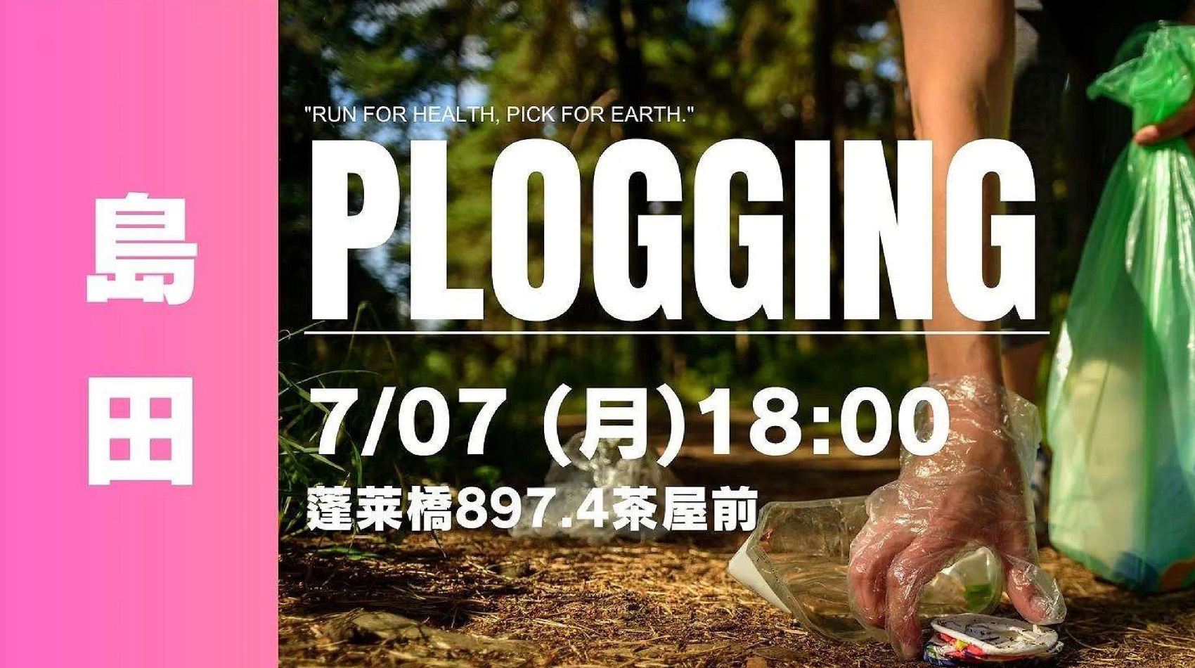 プロキングちらし