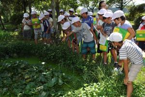 処理後の水を見学する様子