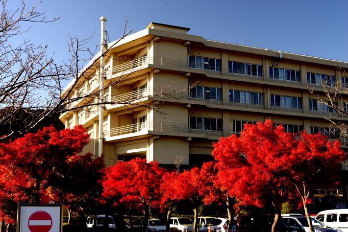 病院と紅葉した樹木の画像
